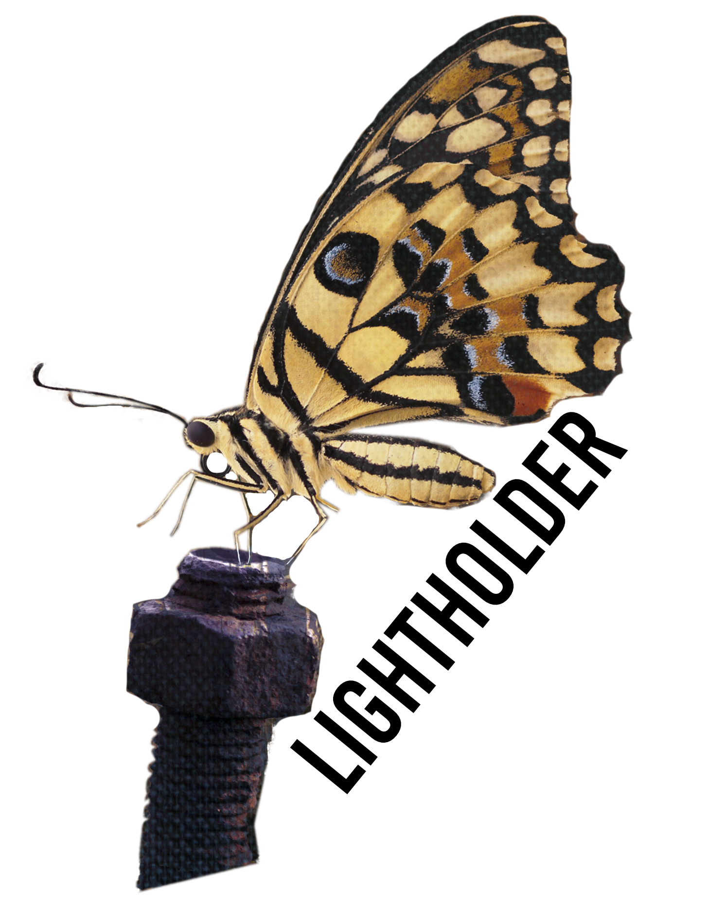Lightholder bolt butterfly for social media