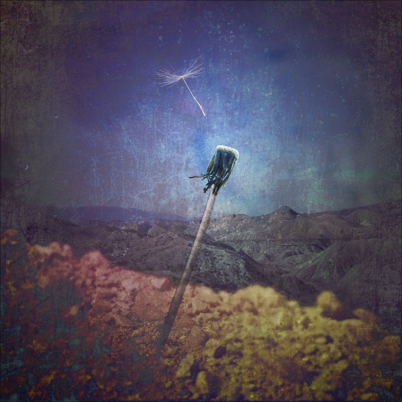 Cover art for Uncomfortable Begun, Single from Lightholder